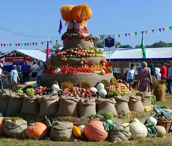Множество впечатлений получат гости «Свенской ярмарки»