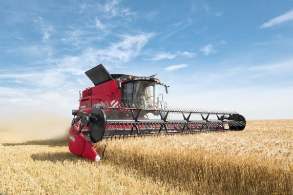 Карачевские аграрии ведут уборку озимой пшеницы и ячменя