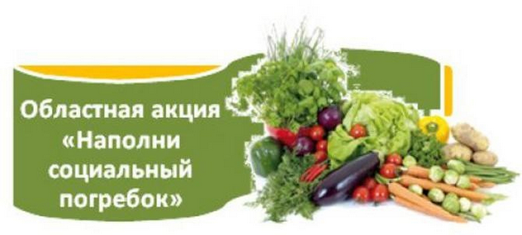 В Брянской области объявлена акция «Наполни социальной погребок»