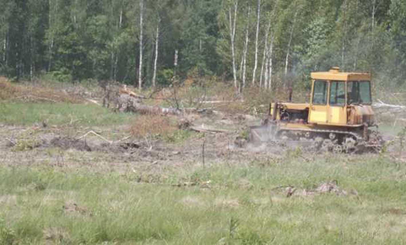 Еще тысячу га земли введут в оборот в этом году в Климовском районе