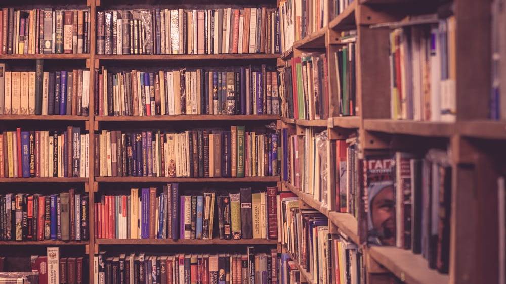 На пополнение книжного фонда брянским библиотекам выделено 3 миллиона рублей