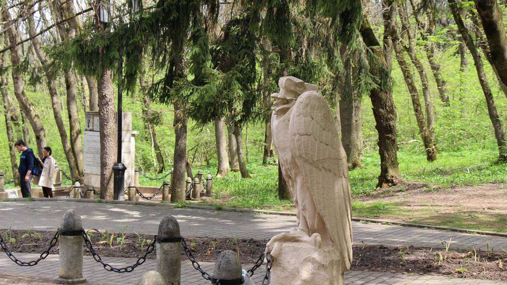 Брянск и Минеральные воды свяжут авиарейсами