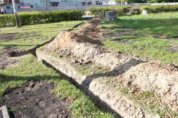 Центральный дубровский парк станет светлее