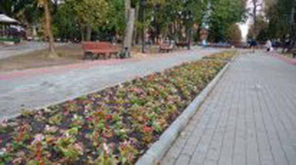 В Советском районе Брянска благоустраивают Круглый сквер