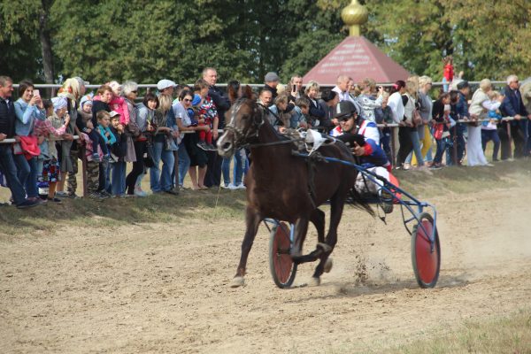 В брянском поселке Локоть Брасовского района состоялся конноспортивный праздник в честь Дня освобождения Брянской области