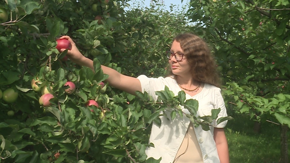 Брянская журналистка стала победителем конкурса  «Моя земля – Россия»