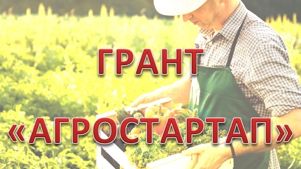 Семь победителей «Агростартапа» получили гранты в размере 3 млн. рублей