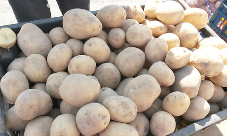 В Брянской области проходят сельскохозяйственные ярмарки