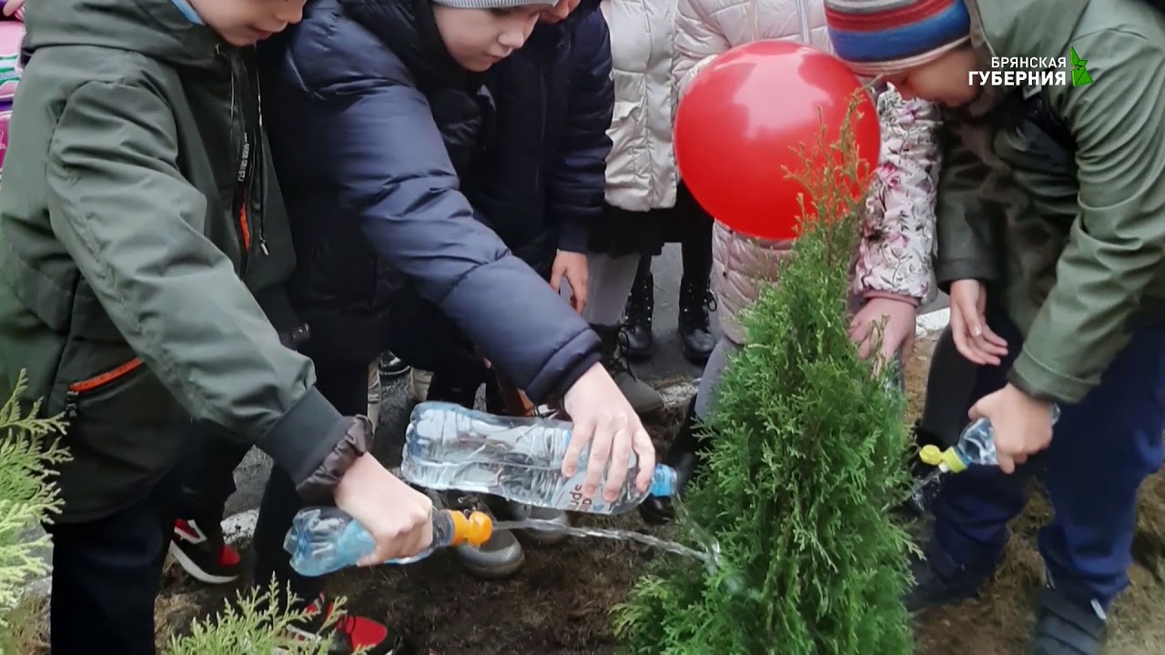 Брянские лицеисты участвуют в акции «Посади свое дерево»