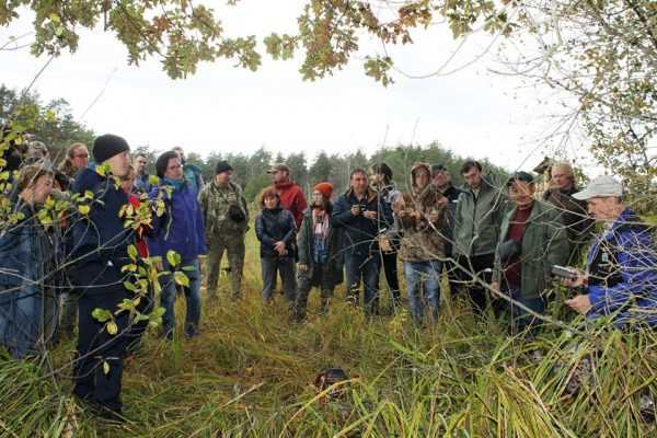 В заповеднике «Брянский лес» прошли занятия Первой школы-семинара по фотоловушкам