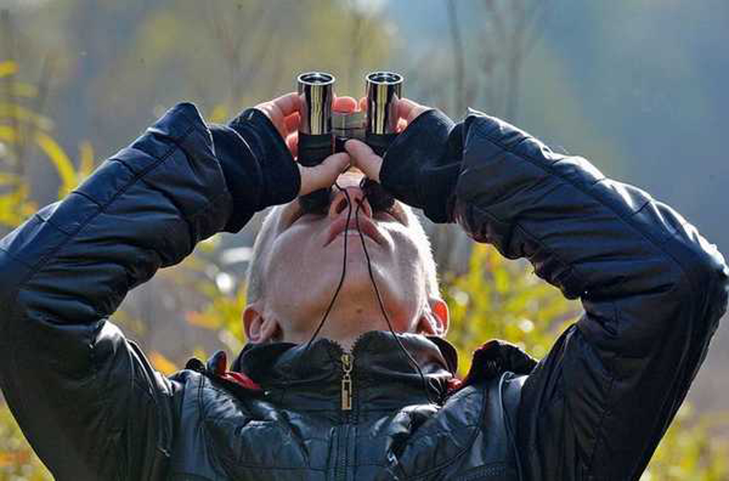 В Брянской области насчитали 1505 особей 53 видов птиц