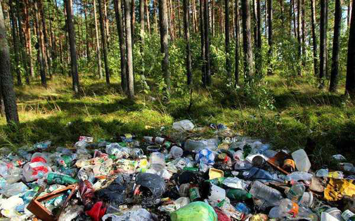 В лесу брянского Сельцо ликвидировано 5 незаконных свалок