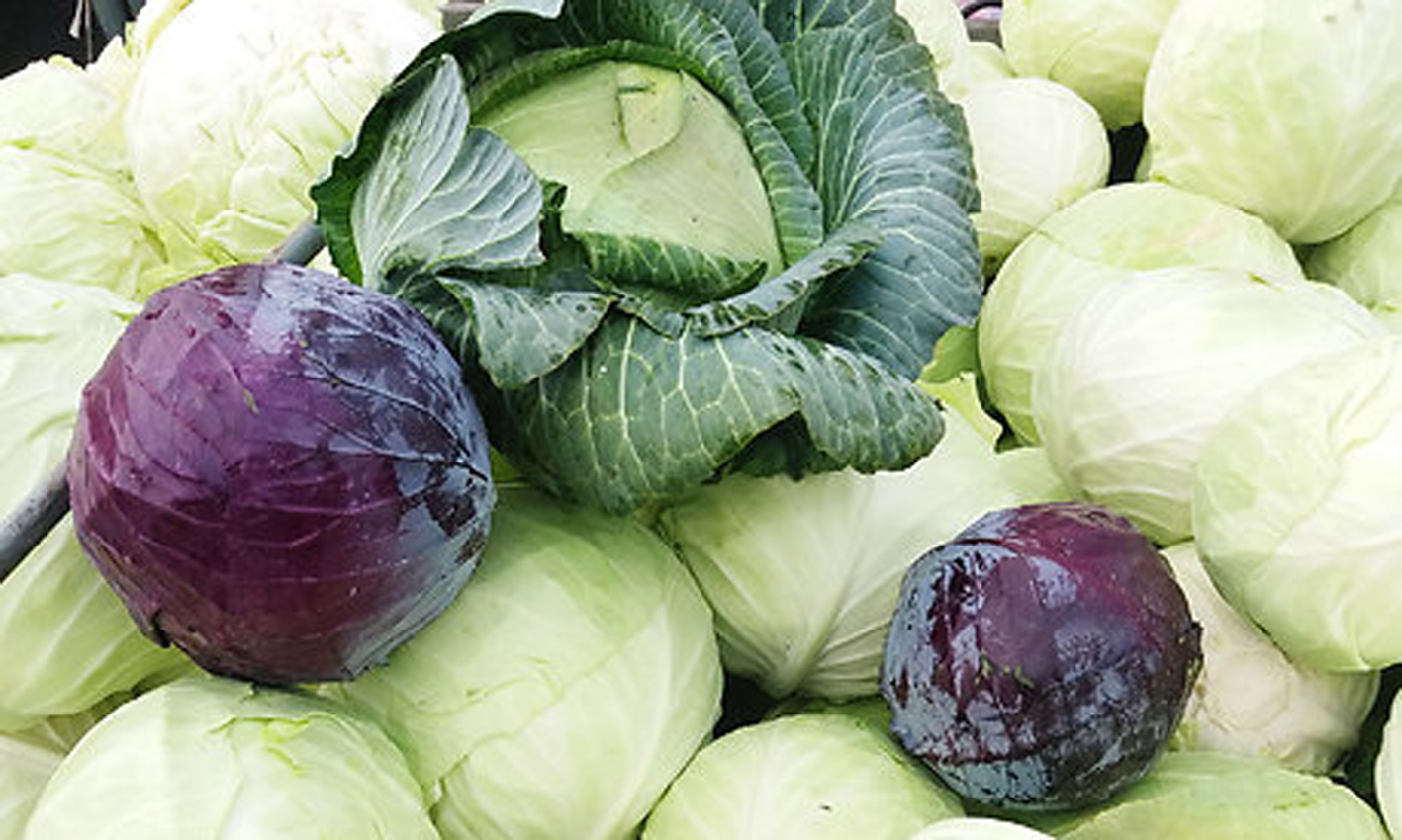 На Брянщине продолжают работать ярмарки выходного дня