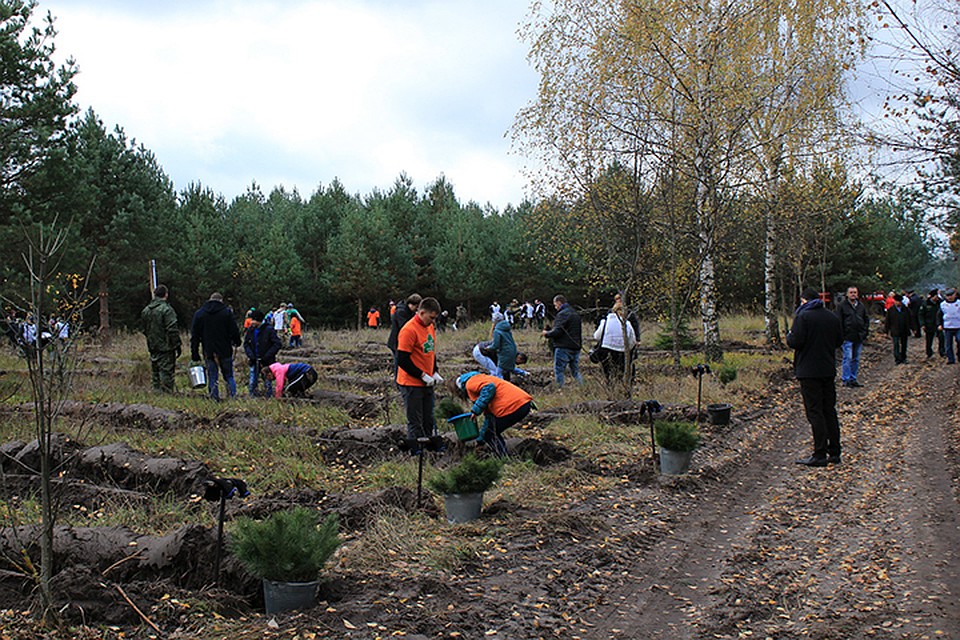 В Карачевском дендропарке заложили памятную аллею