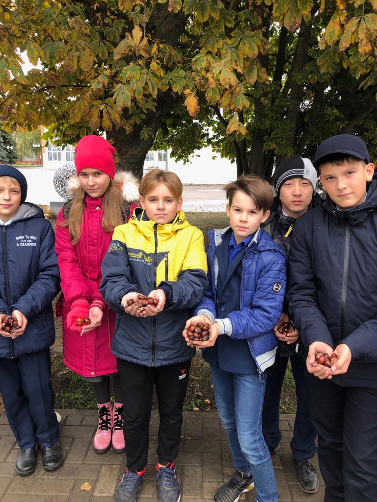 Ученики школы им. С.М.Кирова приняли участие во Всероссийской акции «Сохраним лес»