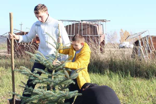 В Карачевском районе продолжается всероссийская акция «Сохраним лес»