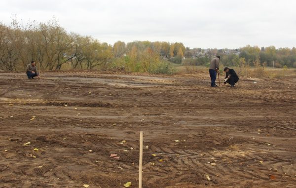 В брянской Красной Горе появится новое место отдыха
