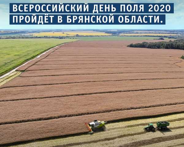 Всероссийский День поля в 2020 году пройдет на Брянщине