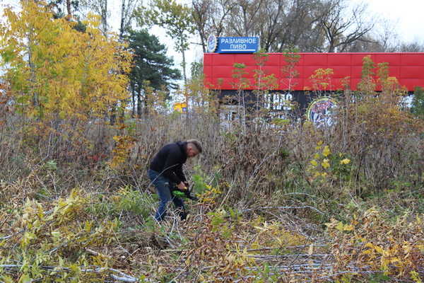 В брянском посёлке Путёвка благоустраивают парк