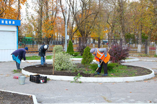 Началось цветочное оформление Брянска на будущий год