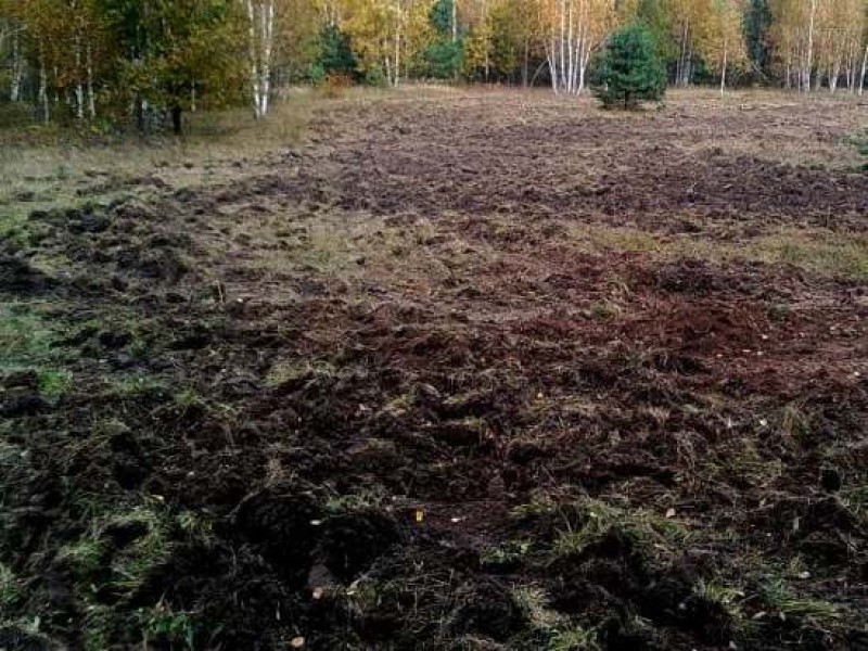 1100 гектаров заброшенных сельхозучастков вернули в оборот