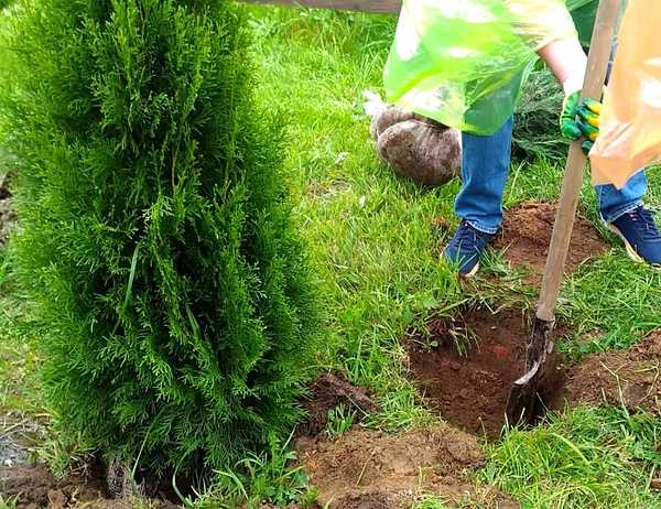 Добровольцы в селе Отрадное благоустроили сквер Победы