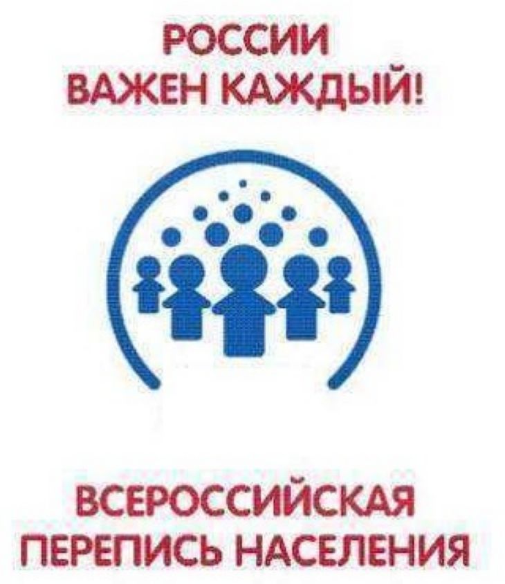 БЕЗ БУМАЖКИ: ЗАРУБЕЖНЫЙ ОПЫТ ПРОВЕДЕНИЯ ЭЛЕКТРОННЫХ ПЕРЕПИСЕЙ НАСЕЛЕНИЯ