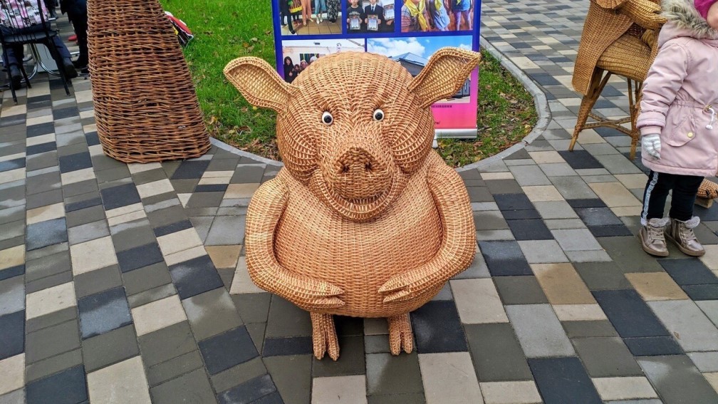 Брянцам понравились топиарные фигуры Майского парка