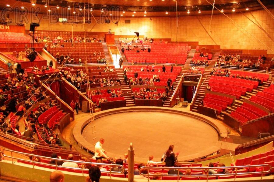 «Месяц доброты» в Брянском ЦИРКЕ