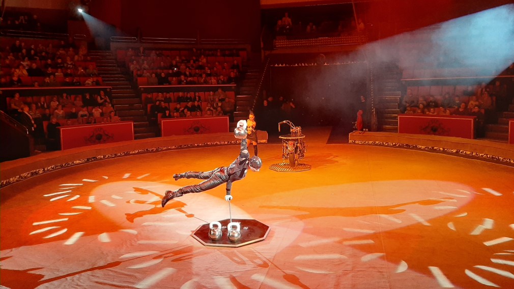 Брянский цирк проводит благотворительную акцию