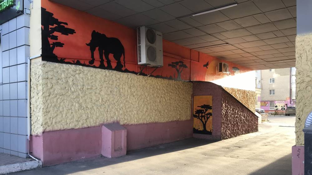 Брянский уличный художник нарисовал саванну со слонами