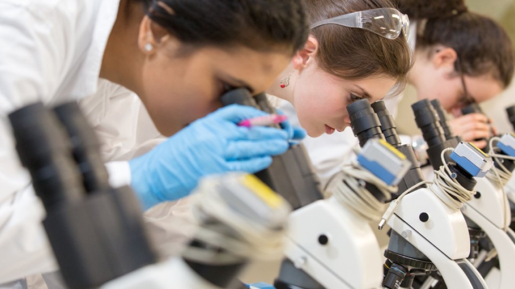 Рассмотрены очередные кандидатуры заслуженных ученых  Брянской области