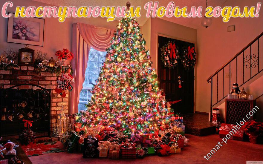 МЧС: Осторожно. Новый год!