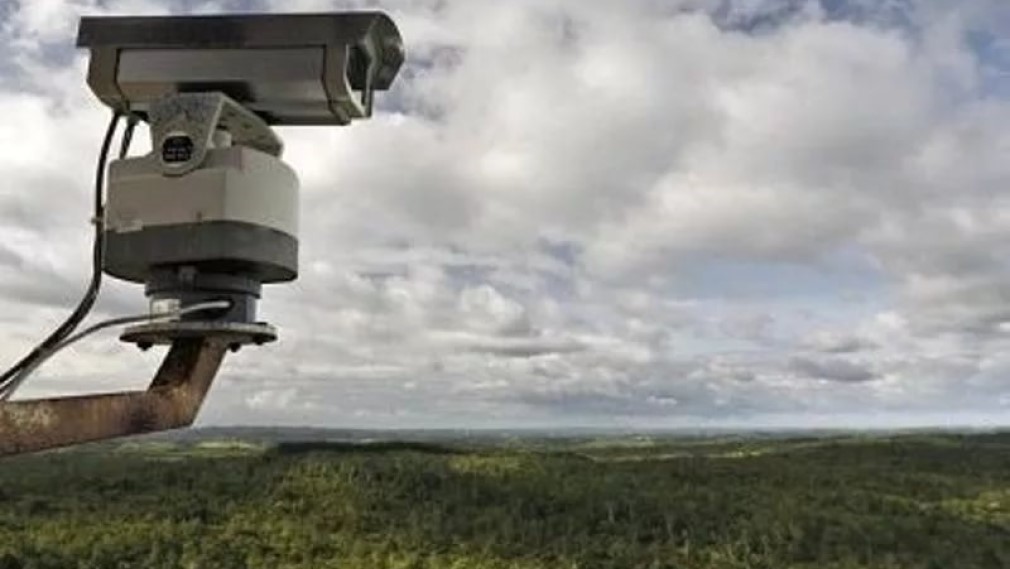 Брянские леса на 90% контролируются видеокамерами