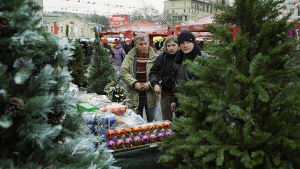 В Брянске с 19 декабря начнут продавать живые новогодние елки