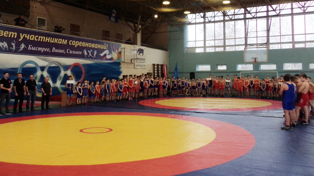 В брянском Дятьково подвели итоги областного турнира по вольной борьбе