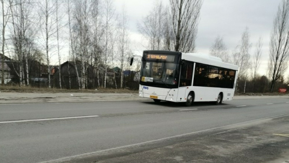 По улицам Брянска начали курсировать новые автобусы МАЗ