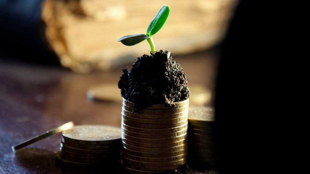 С 1 января МРОТ на Брянщине составит 12200 рублей