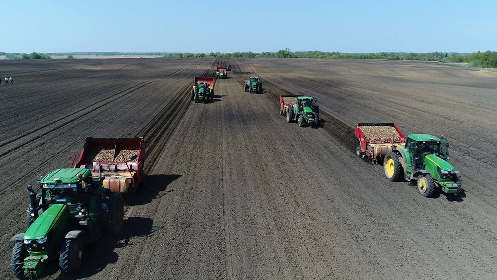 В Брянске занялись подготовкой к Международному дню картофельного поля