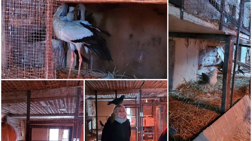 Брянские общественники привезли гостинцы пернатым питомцам почепского приюта