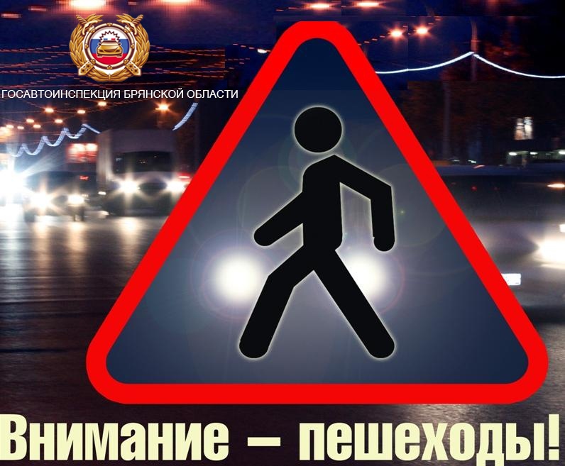 Госавтоинспекция Брянской области напоминает об обязанностях пешеходов