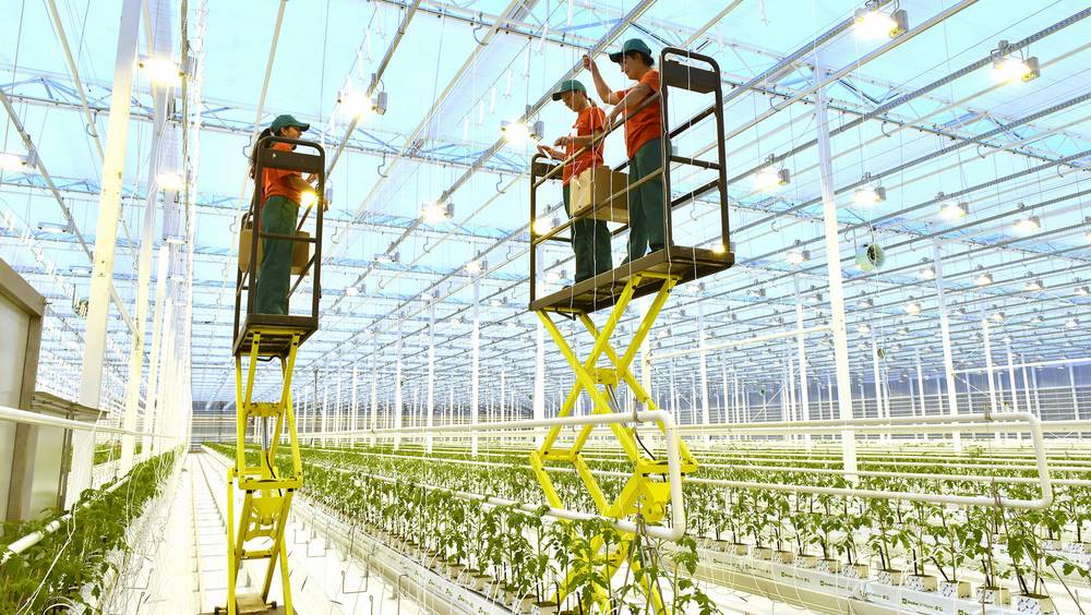 Глава региона рассказал, в чем Брянщина превзошла европейские страны