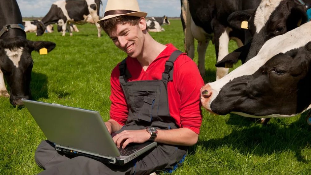 31 млн рублей выделено в Брянской области на начинающих аграриев