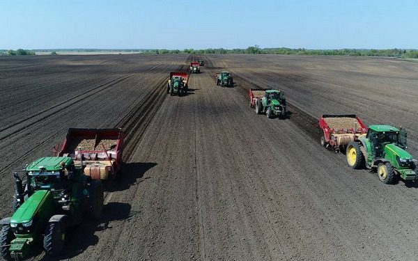 Подорожание брянской земли свидетельствует о бурном развитии сельского хозяйства