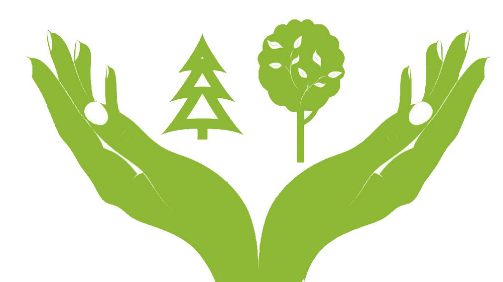 В 2020 году в Брянской области закупят лесопожарной и лесохозяйственной техники на сумму 51,2 миллиона рублей