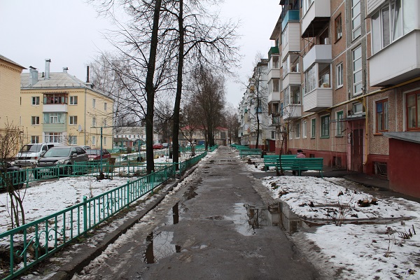 Брянские специалисты обучились в Европе выращивать мак для почепского завода