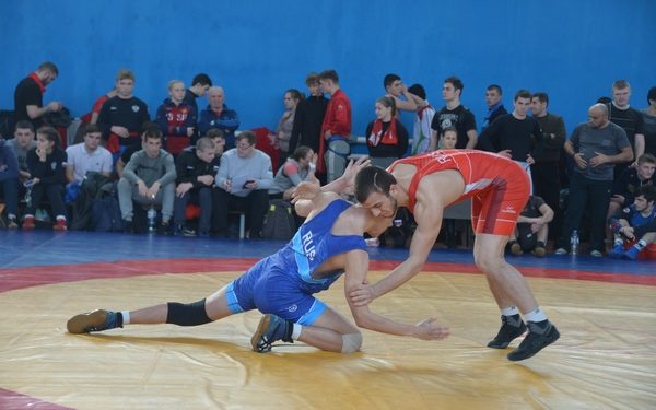 Всероссийские соревнования по вольной борьбе провели в Брянске