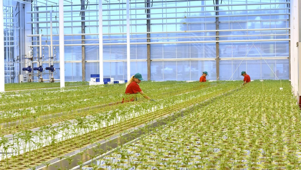 52 инвестпроекта реализуются на Брянщине