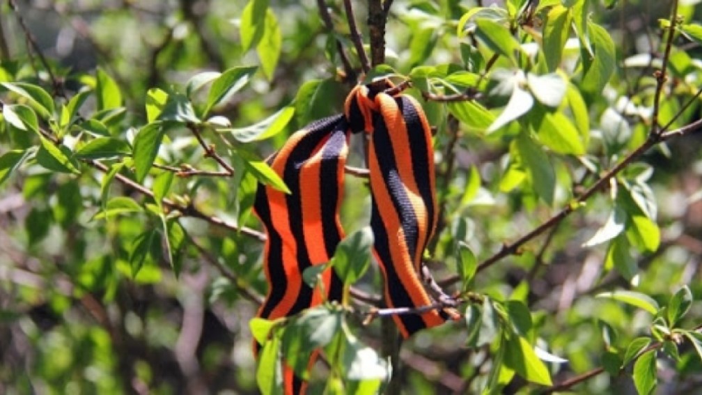 Жители Брянщины присоединятся к участию в международной акции «Сад памяти»