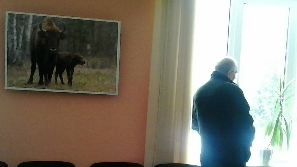 Брянские власти призвали население побыть дома в ближайшие дни